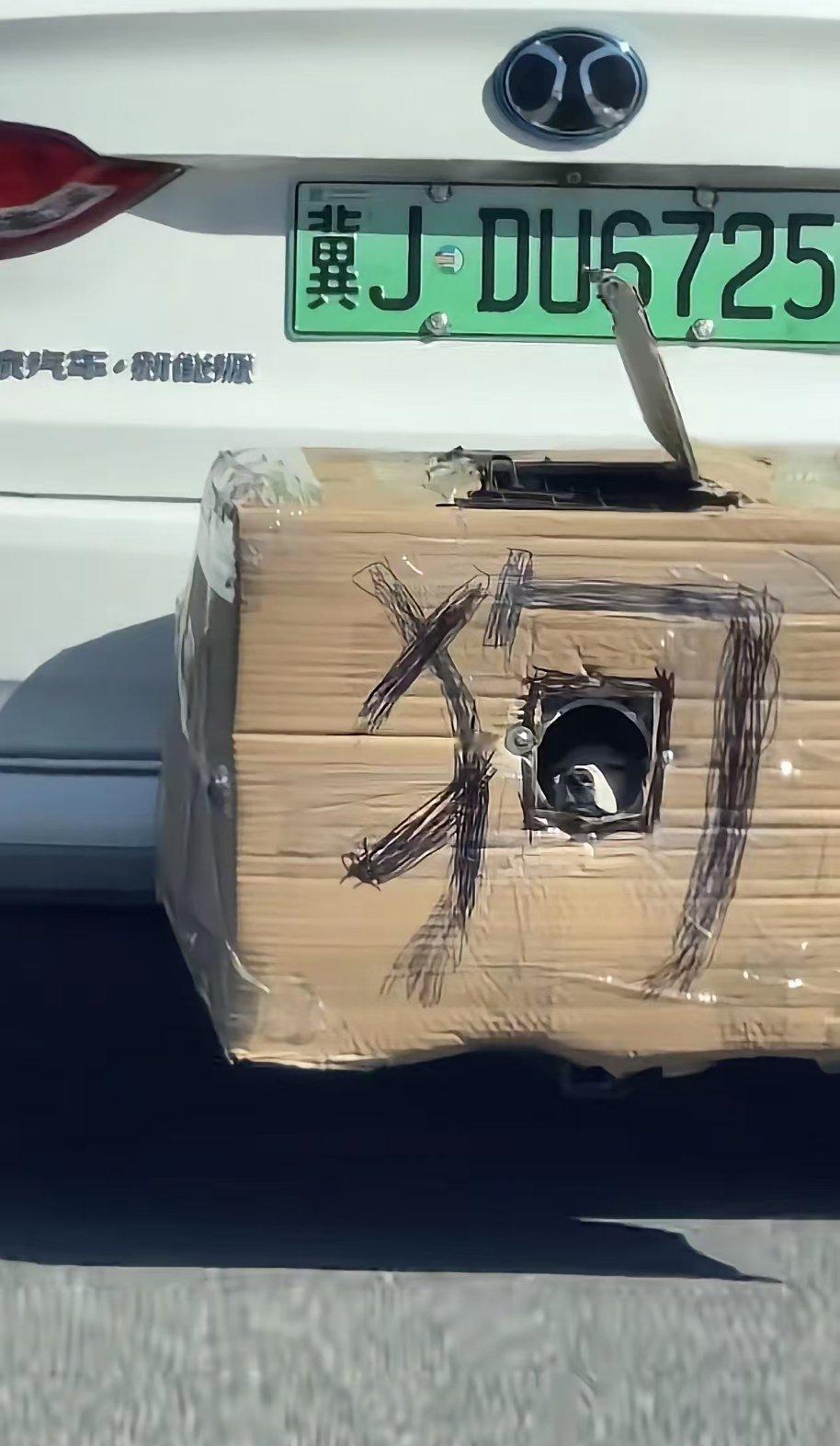 又有狗狗晕车。还是图四安全。​​​