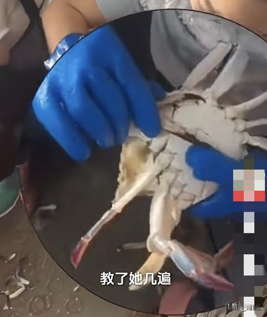 女子说她姐姐从南京来舟山做扎蟹女工，学了两天，总也学不会，两只手忙活不过蟹的八只
