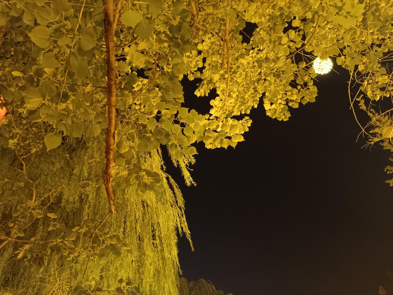 聪明人做的10件事：1.小聪明可以耍，但不要一直耍，该傻时要装傻：看破不说破，