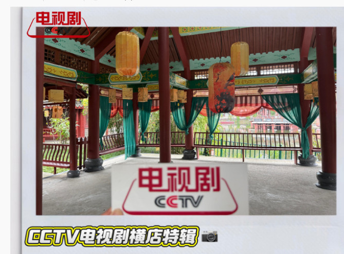 央视都报道邓为的仙台有树了我说两个这个剧非常有意思的点第一，仙台有树很有趣的一点