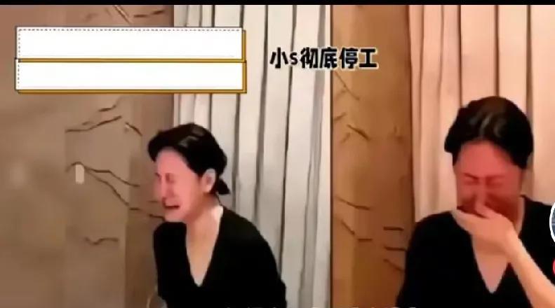 小S因为大S离世，未走出丧姐之痛，一直停工，现在已离台。不站队也不黑谁！希望