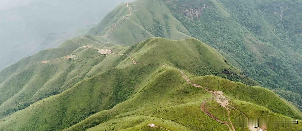 最后悔的旅行，就是去了武功山！必须狠狠避雷，这绝对是我登山生涯里最差劲的一次体验