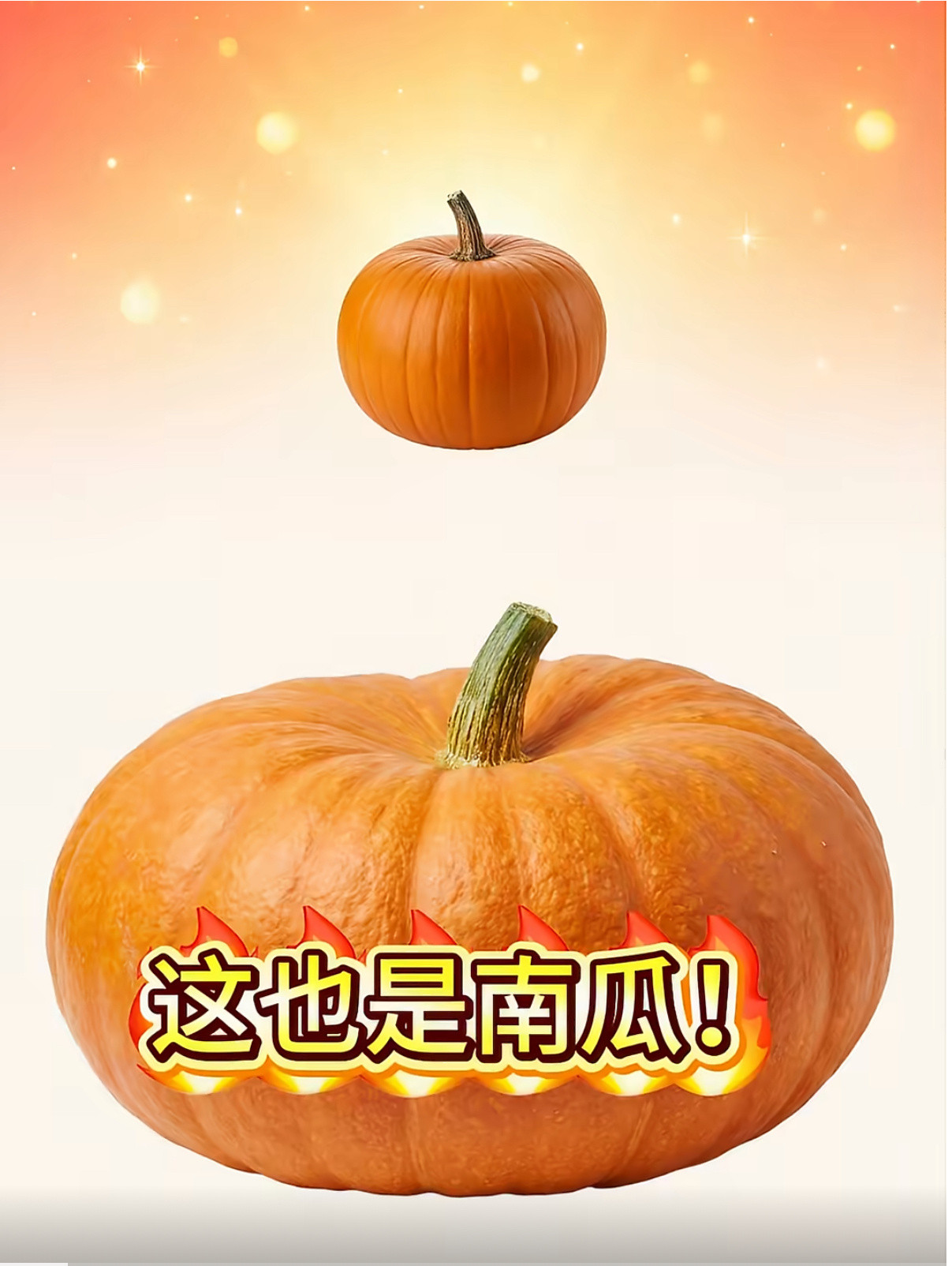 之前我们本地的西瓜节，一个超大的西瓜，拍出了3.5万的高价。很好奇，150斤的南
