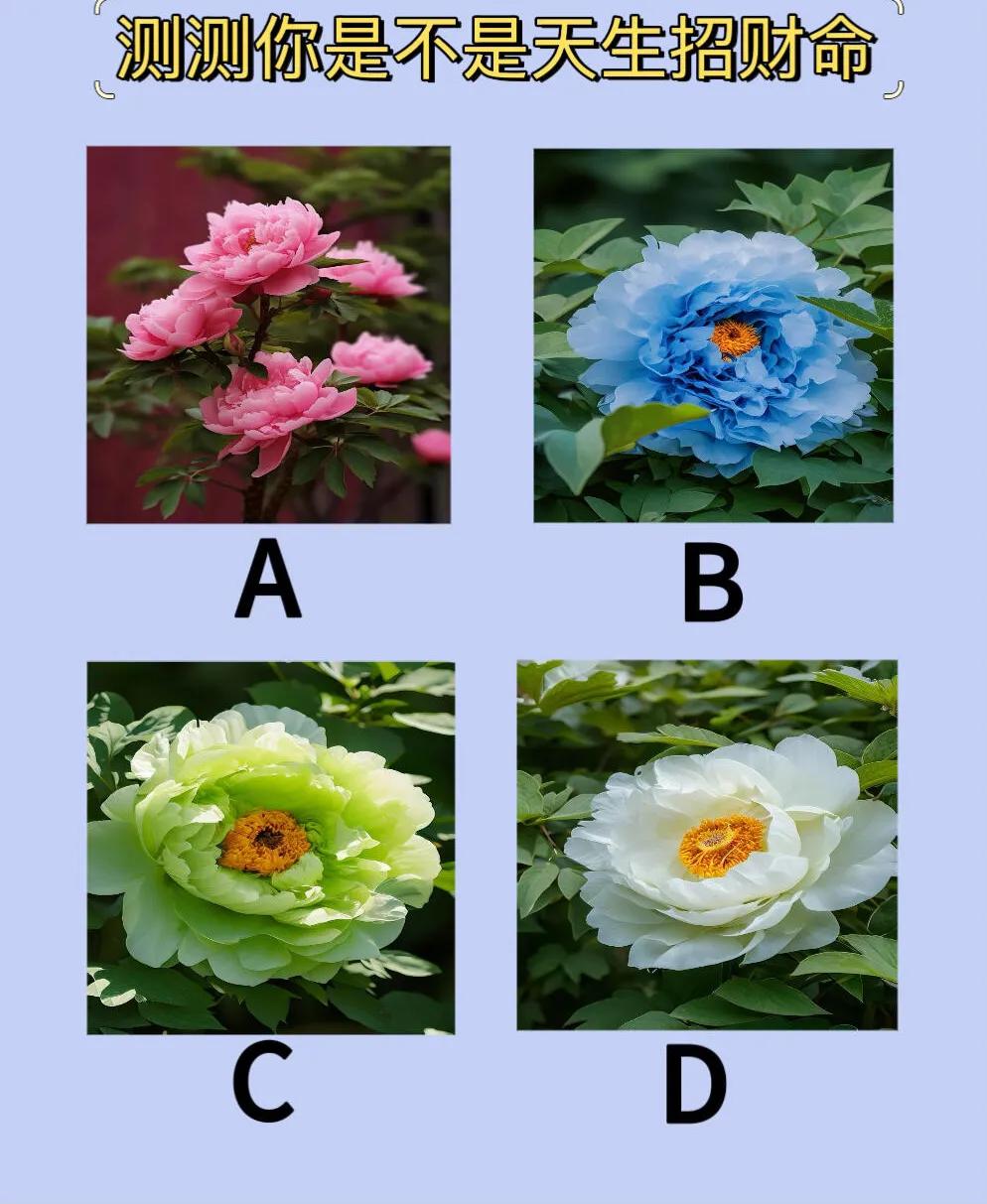 测试:测你是不是天生招财命？？选择好看的一朵花，看看你没有招财命我选择B