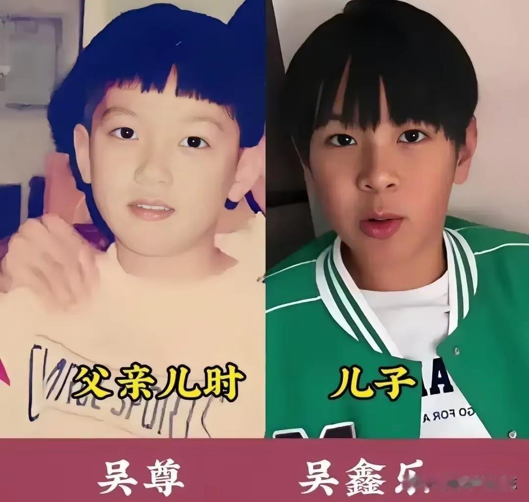 这几位男明星们小时候照片和他们的儿子也太像了吧！吴尊小时候就是个漂亮孩子，儿