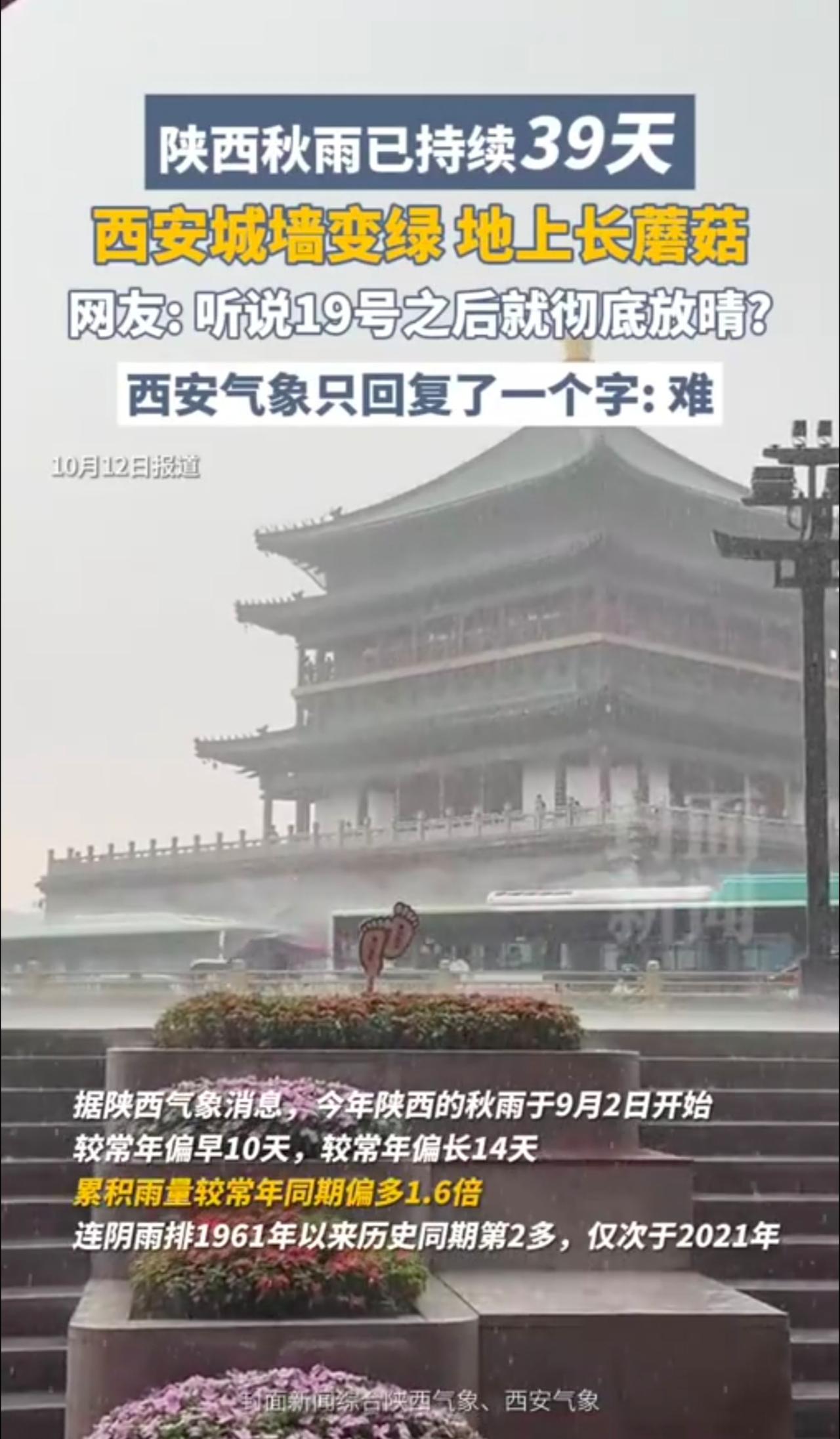 陕西秋雨已持续39天，西安城墙变绿、地上长蘑菇，网友:听说19号之后就彻底放晴