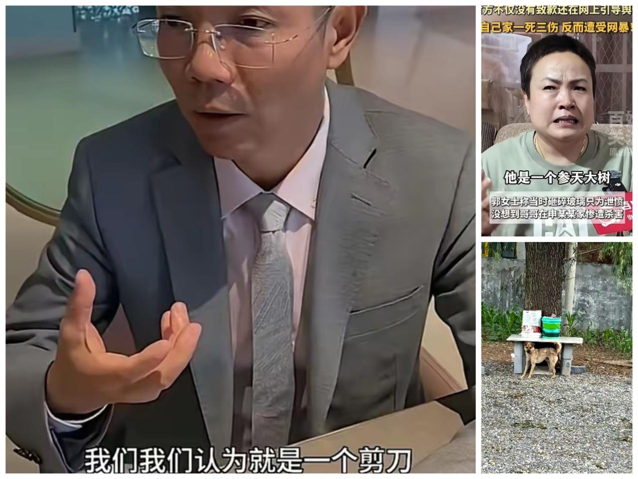 李圣律师这一剑直指要害！郭家九人此刻恐怕如坐针毡。因为李律师的战术已经非常清晰：