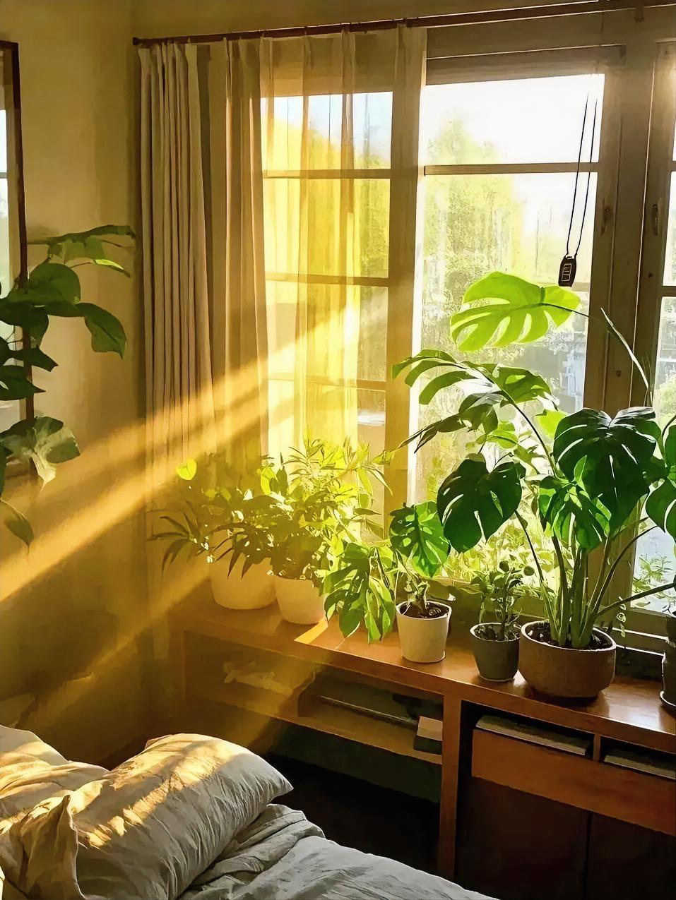 茫茫人海，我们都在时光里跌跌撞撞，带着藏在心底的孤独与期待，独自走过许多漫长的路