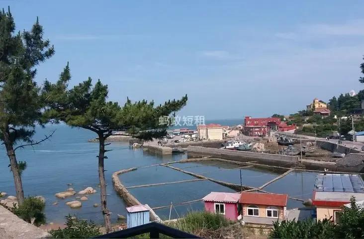王铎：青岛民宿事件又上热搜了朋友们，昨天晚上看到一个外地小伙子的视频，是关于