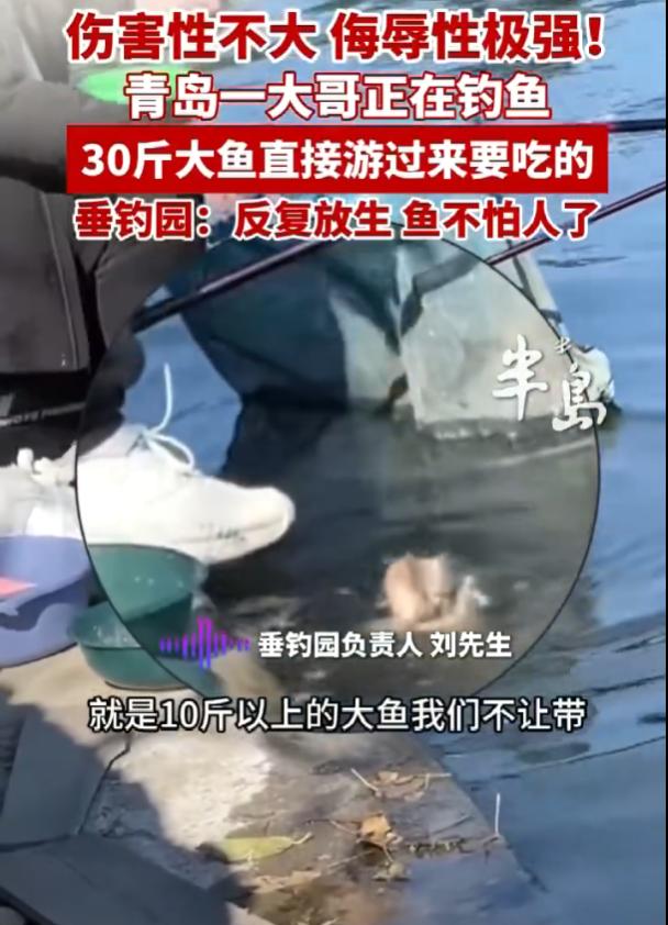 “愿者上钩！”11月6日报道，山东青岛，莱西的一家垂钓园，一位钓友正在岸边休息时