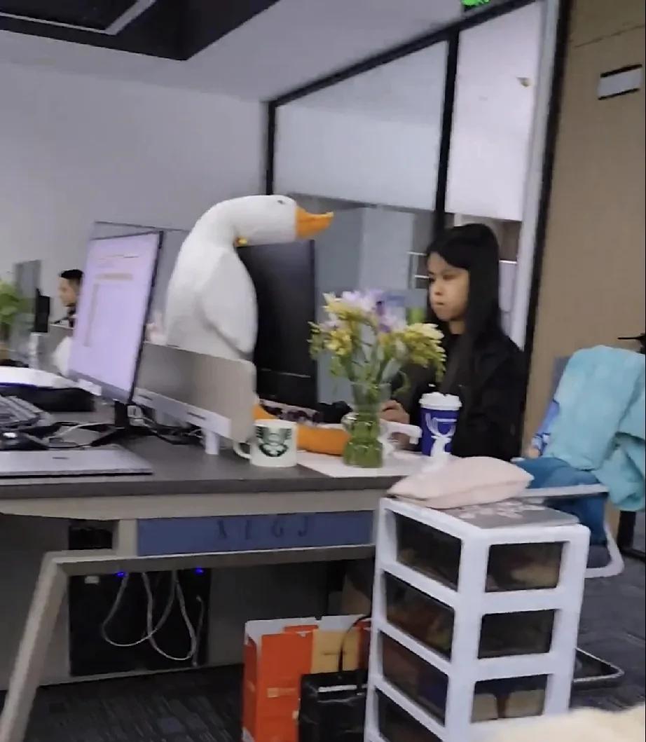 据我观察和体验，职场拒绝内耗和内卷的黄金法则就是：无论干什么，都别着急！很多工作