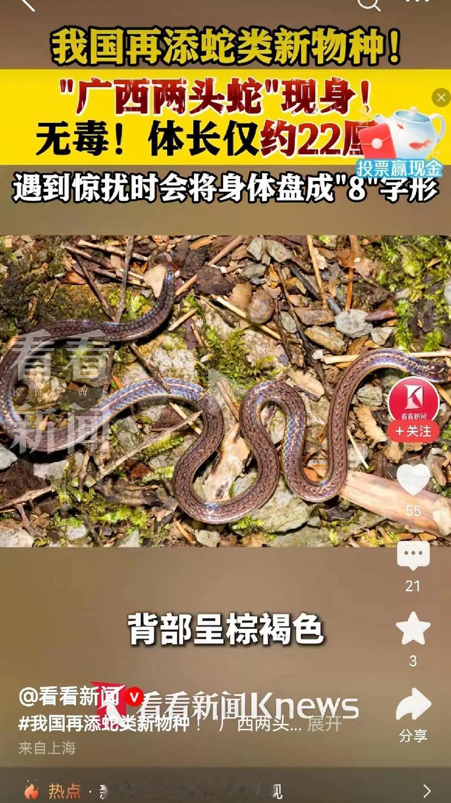 广西花坪自然保护区发现了一个蛇类新物种：广西两头蛇。成年只有22厘米长，无毒温顺