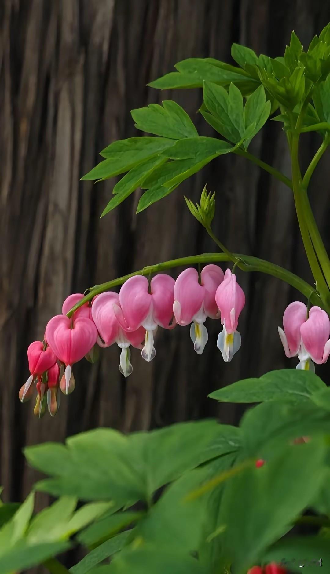 人活着，千万不能做的16件蠢事1. 为了不值得的人，透支自己的身体熬夜、