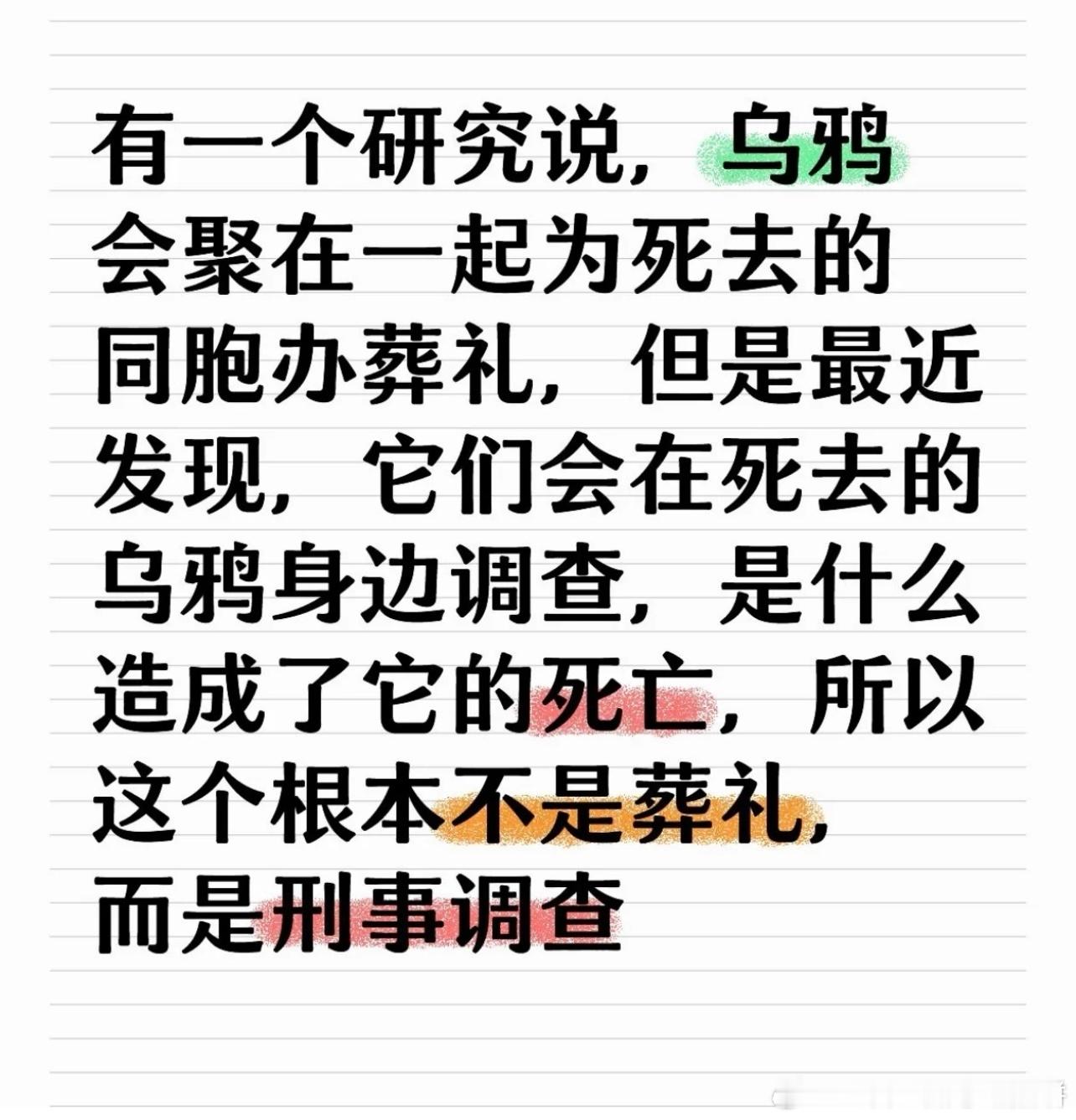 这个发现也太有趣了，妈啊乌鸦原来是青天大老爷哈哈哈哈哈哈哈，福尔摩斯·鸦​​