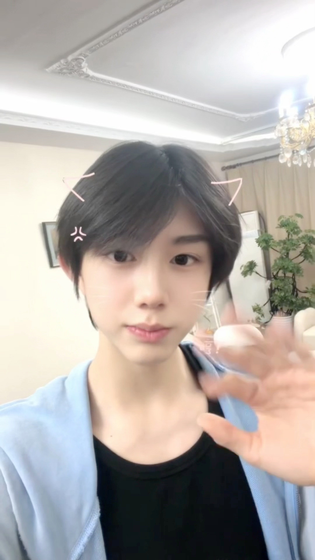 陈奕恒粤语版晚安陈奕恒粤语版晚安来啦好可爱的小猫咪哼哼好宠粉好温柔