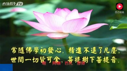 佛教音乐歌曲《文殊菩萨心咒》hao金格格视频