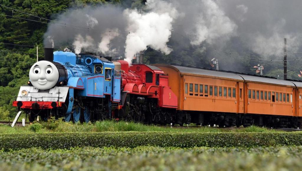 11469070351990286562.jpg?id=0