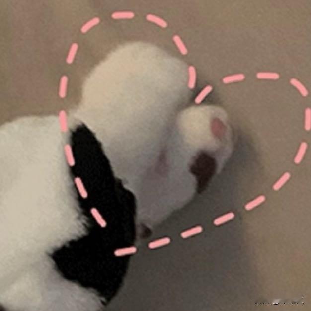 体坛CP暗戳戳撒糖！钱天一晒vlog，王昶评论区送心太好磕钱天一一条vlo