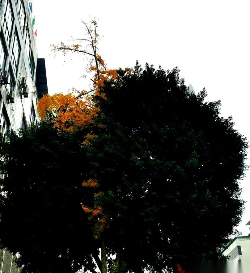 分居半年多，他一回来，就猴急地凑过来。我愣了一下，还以为是开玩笑。结果他来真