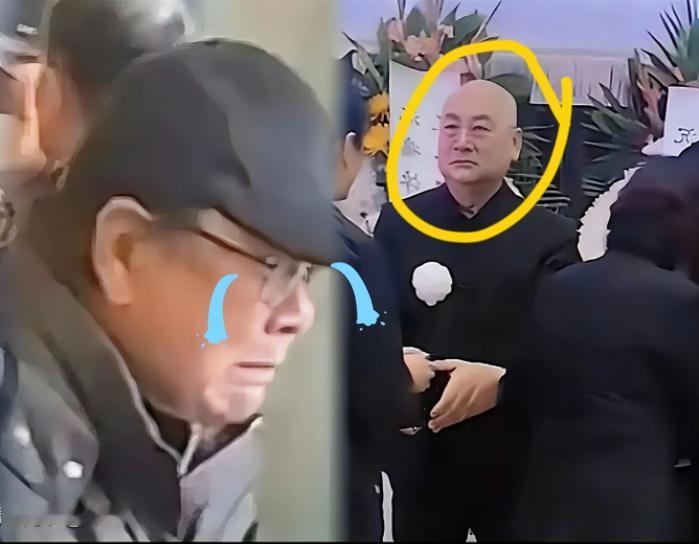 瞧见73岁的迟重瑞送别陈丽华，我倒没太动容。可一看见“孙悟空”和“八戒”也赶