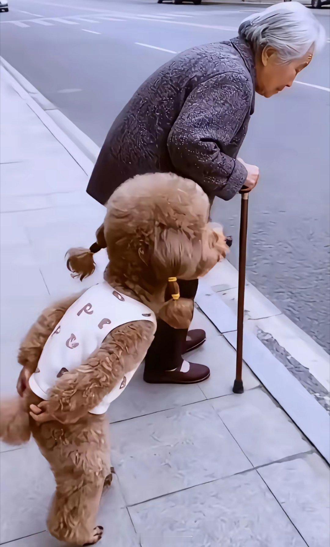 宠物谁养像谁。它似主人镜，习性脾气渐相融。朝夕相伴间，默契与气质悄然同频。