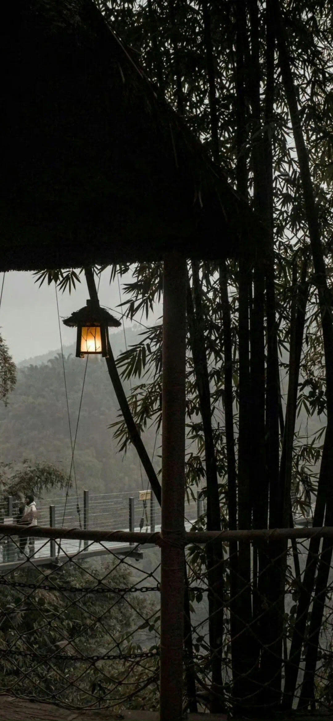 雨天壁纸分享壁纸​​​
