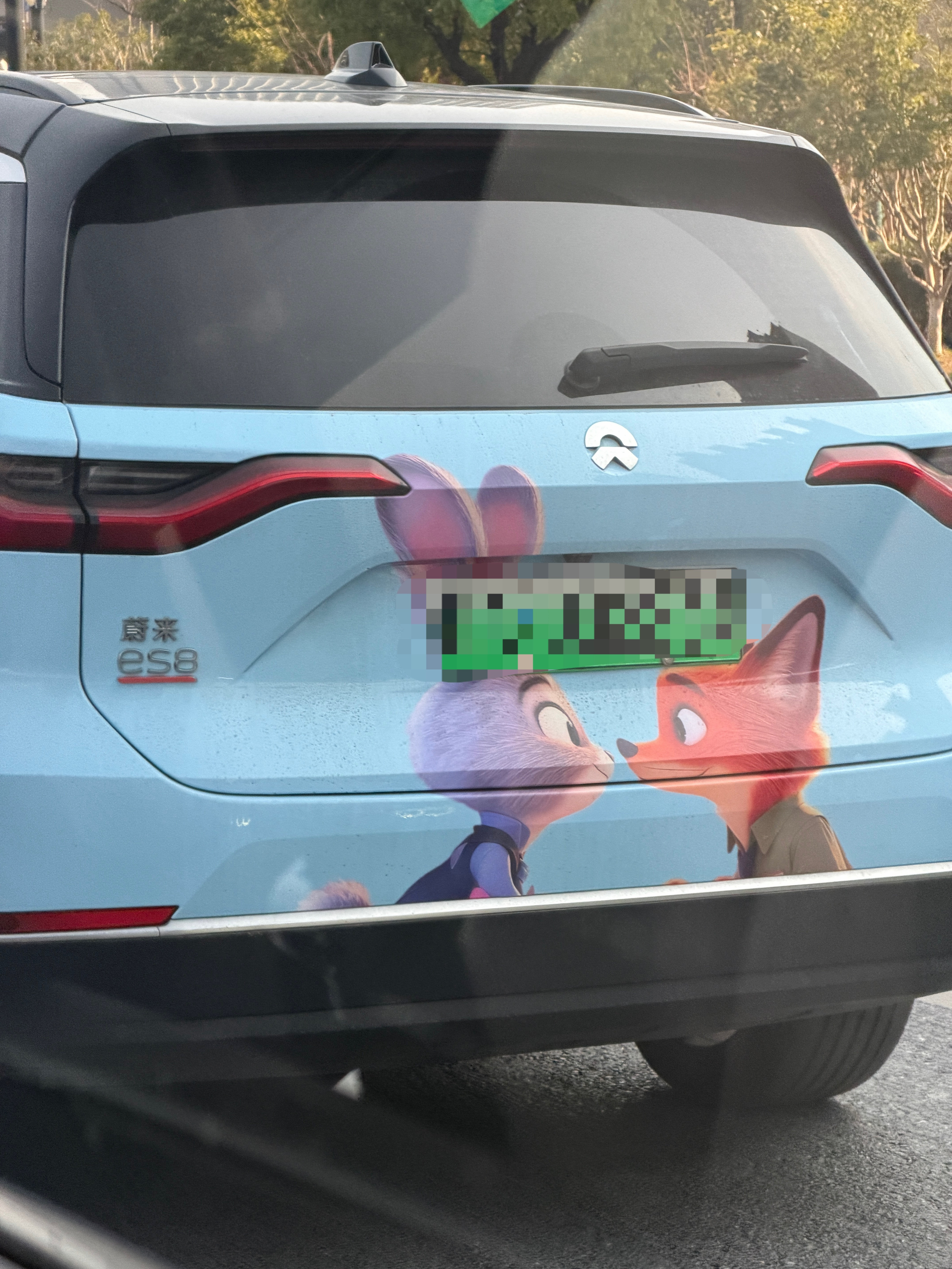 路上看到的，蔚来车主都这么可爱的嘛不知道车主是女生还是男生