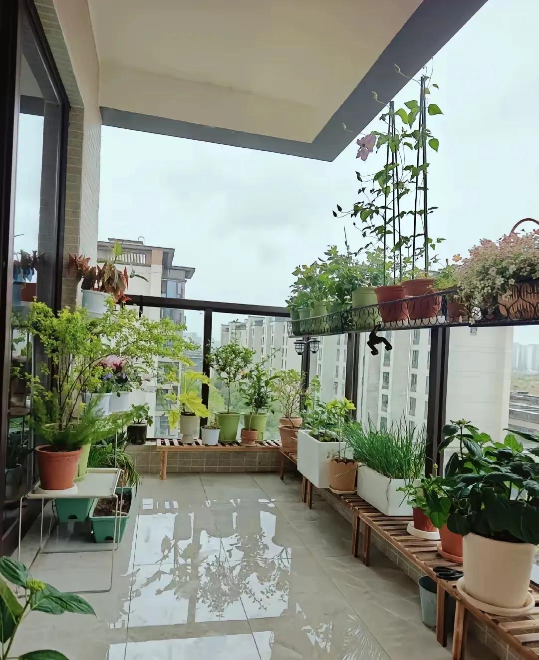 四季小花园很美！阳台虽小，却能种出四季小花园。阳台是我们家中一个重要的空间，虽