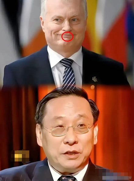 一针见血，一剑封喉！立陶宛一位学者表示：“欧洲比俄罗斯更具价值”，并希望听听中