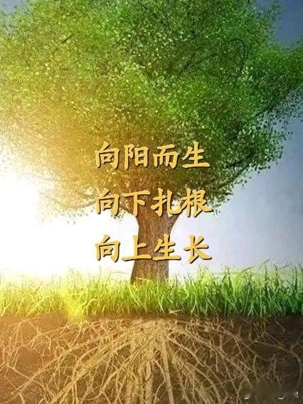 脾胃一虚，百病由生：古方中的“补土”智慧在中医理论中，脾胃被誉为“后天之本”，“