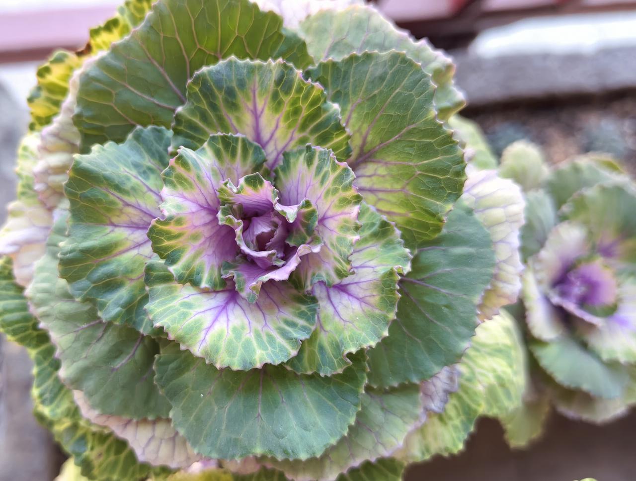 一大早的，有网友得意地说：“我让儿子随老婆姓，以后儿子买房老婆多出点，老婆不干，