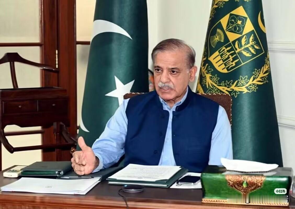 巴基斯坦又成功实证了中国武器的威力！1月10号，巴基斯坦在阿拉伯海北部垂直发射猎