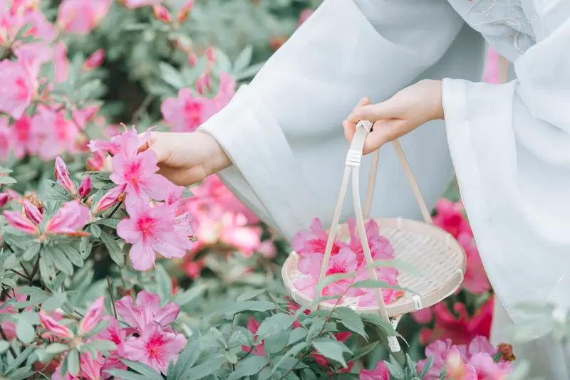 这首《七绝深情如故》韵味十足！“小径花繁袖满香”，瞬间将人引入一条花香弥漫的小径