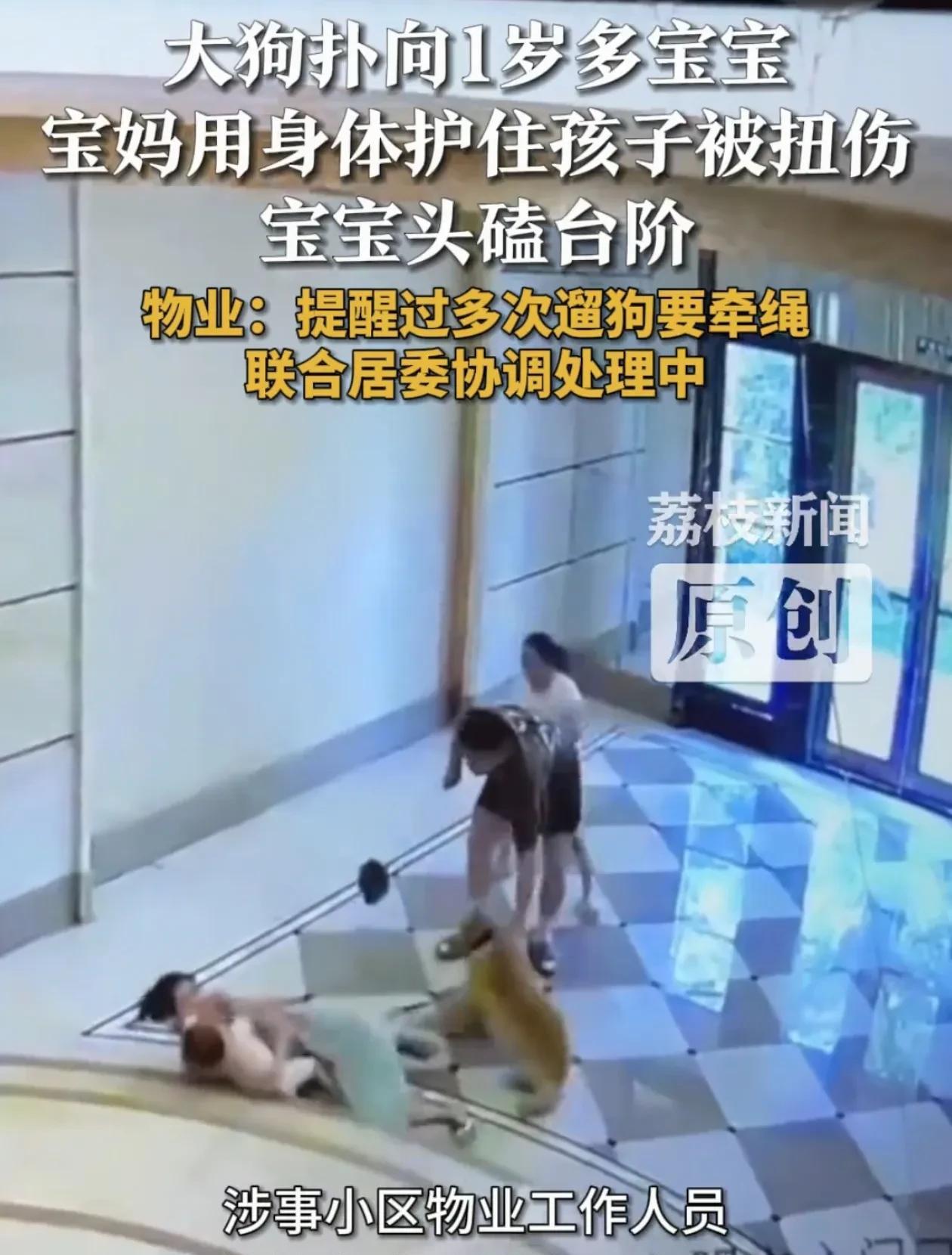 这下“爱狗”人士没话说了吧！没看错的话，扑向小孩的应该是金毛，记得很多养狗人都说