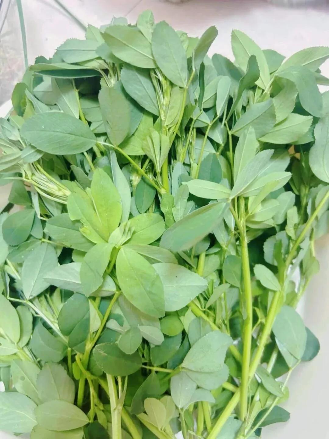 有人知道这是什么菜吗