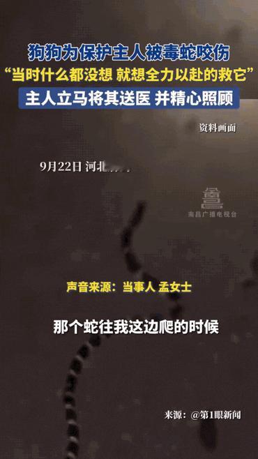 “太有灵性了！”河北唐山，女子正在休息时，狗狗突然狂叫不止，她起初还以为狗狗捣蛋