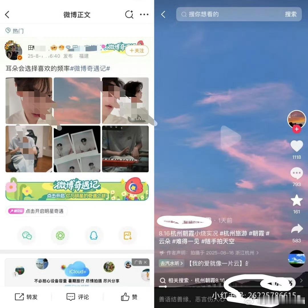 这又是啥瓜​​​