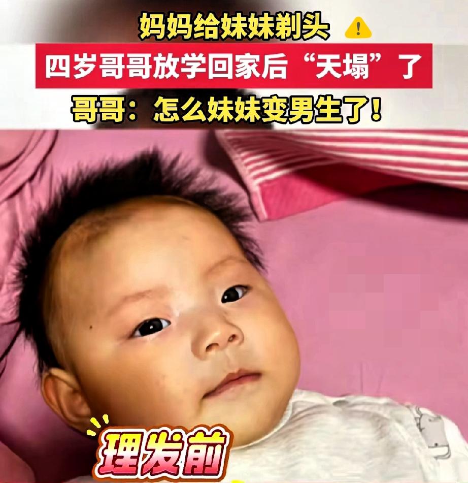 笑喷！山西四岁男孩放学冲回家找妹妹，一看直接哭崩，指着刚剪了头发的妹妹喊：“妈妈