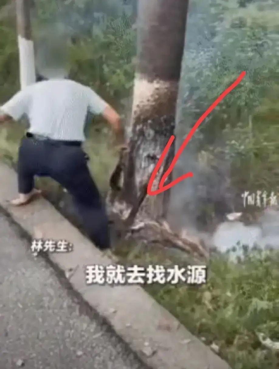 男子国道边制止老人烧树，老人一句话道出隐情，背后真相引人深思不敢相信，一男子