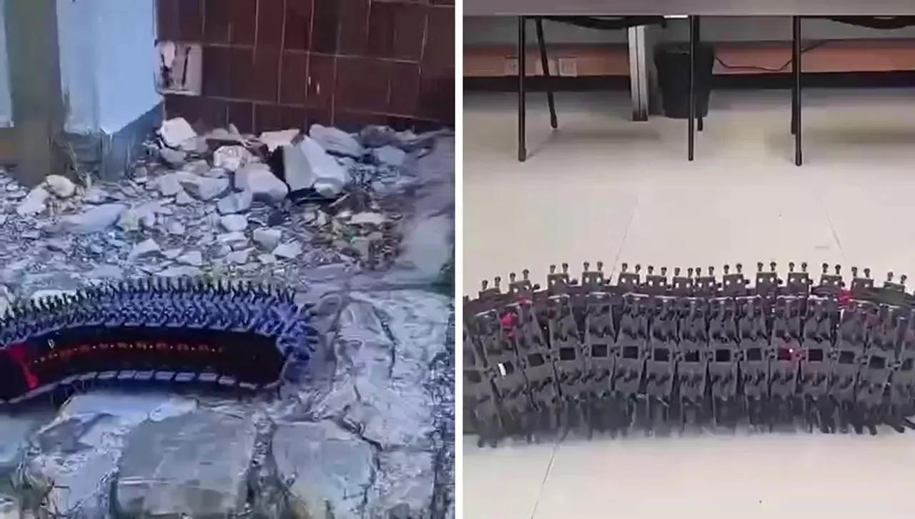 意大利热那亚大学工程师研发出了Porcaspino机器毛毛虫，是一种能够在狭窄缝