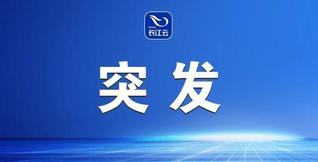 突发消息报道，巴基斯坦这操作有点让人摸不着头脑啊。英媒爆料巴方顾问团队向美国提议