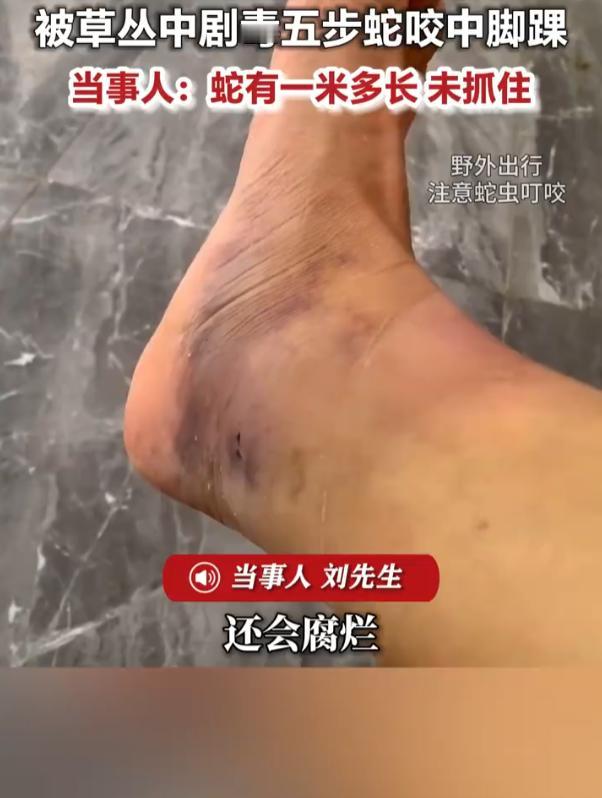 “太险了！”9月27日报道，浙江丽水，一男子在溪流中摸螺蛳时，突然感觉脚踝剧痛，