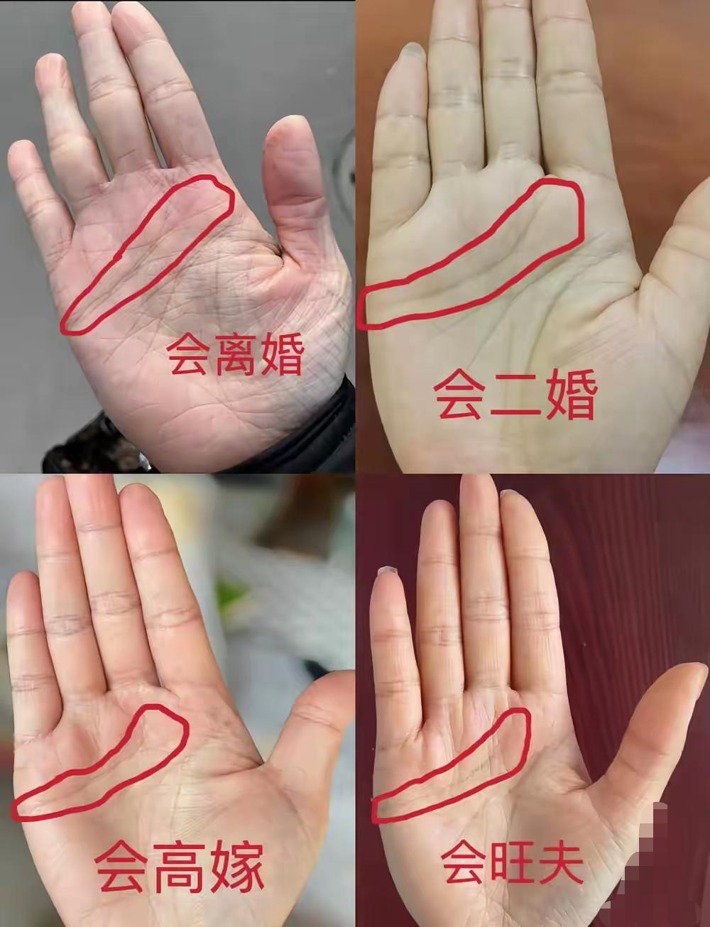 看看的手是什么命运