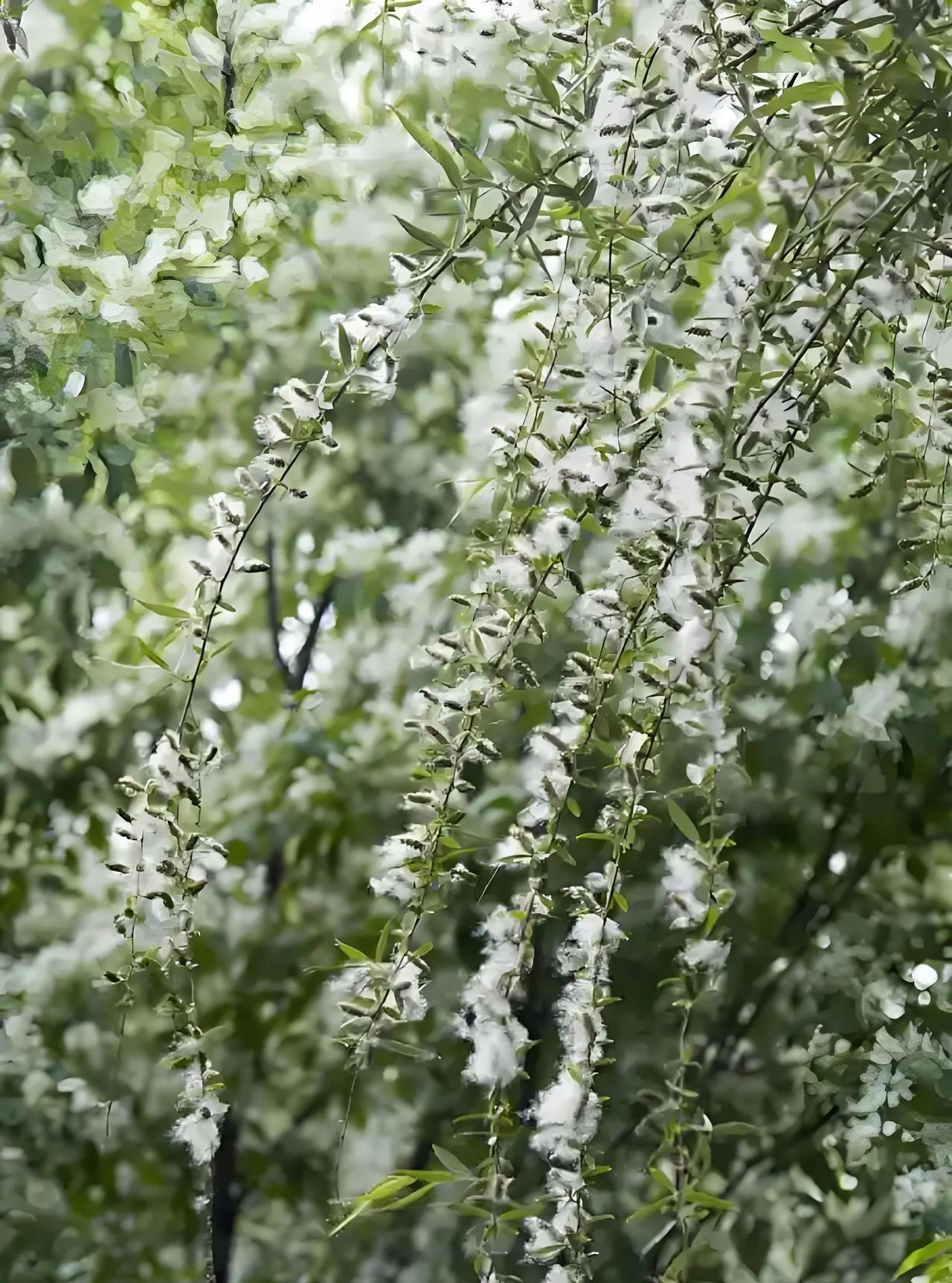 #上联：闲庭晓看桃花雨；求下联#闲庭晓看桃花雨，静院暮听柳絮风。