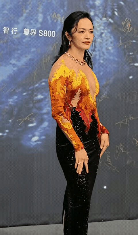 远远一看姚晨那身火焰红晚礼服，我还真吓一跳——以为衣服烧坏了！走近才看明白，原来