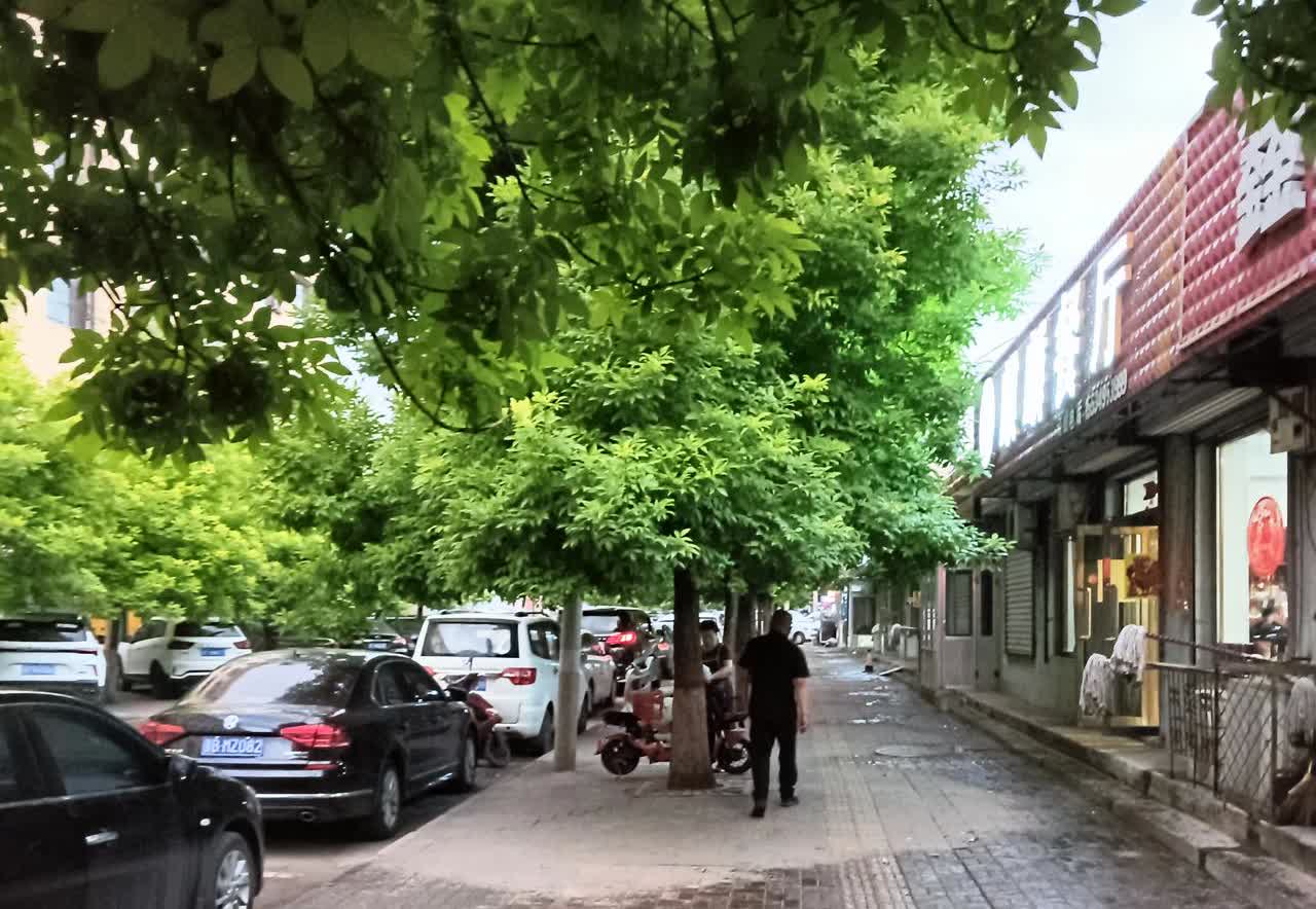 ，没有发现他已经水米不打牙了。病痛已经折磨的他痛不欲生了。离世是最好的选择，只是