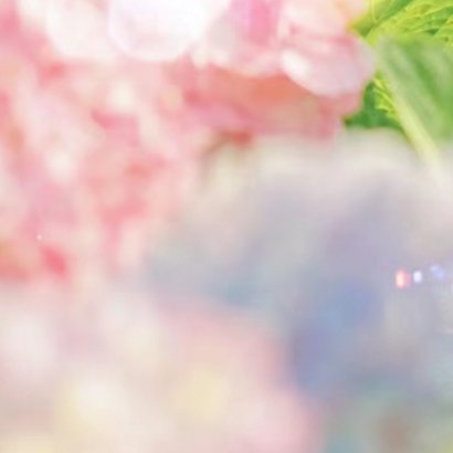1000种植绣球花的种植方法一、腐殖土壤绣球花在腐殖土壤上生长最佳，需要选取3