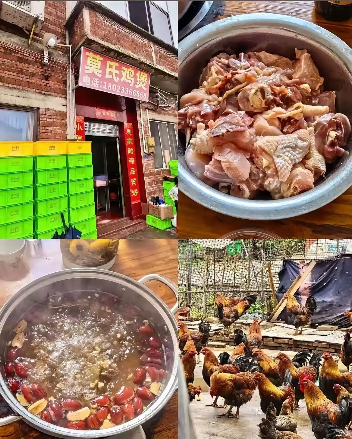 莫氏鸡煲的老莫叔又失算了，本以为听从网友的建议，公开了鸡煲配方之后，可以劝退大家