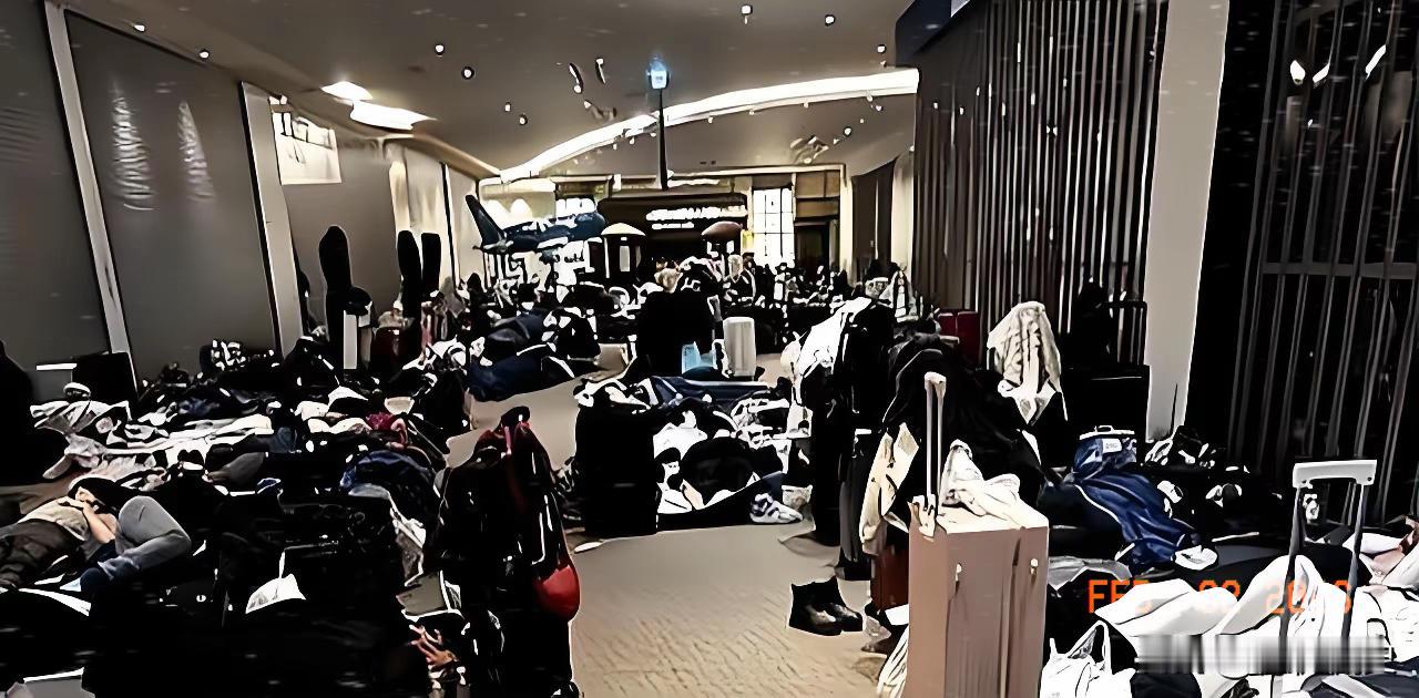 笑不活了！北海道机场滞留游客的视频，真把“打脸”玩出了新高度！平时朋友圈里晒着五