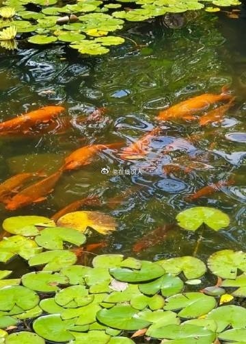 风水轮流转，下一个就会轮到你，财富源源不断从四面八方涌向你，你会喜迎八方来财，事